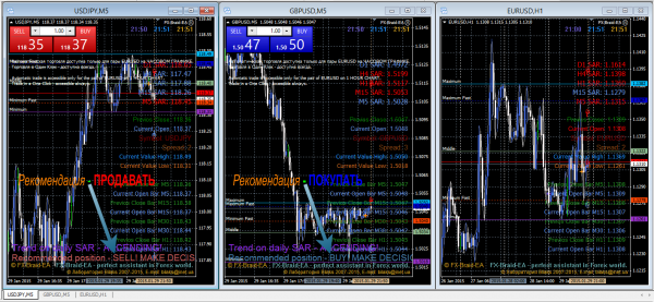 Forex FX-Braid-EA Trading Expert