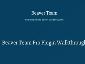Beaver Team Pro for Beaver Builder Professional Wordpress Plugin v1.2.11 Nulled