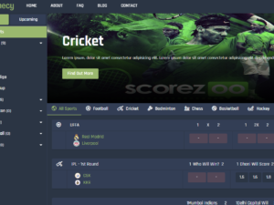 Script Prophecy is a betting management system + casino