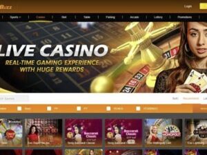 JeetBuzz Casino Script Software - Casino Betting PHP Script