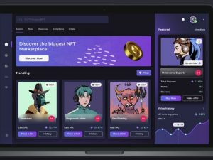 NFT Marketplace Clone Script in 2025 - Updated!