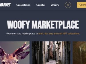 NFT Marketplace Software Platform - Source code