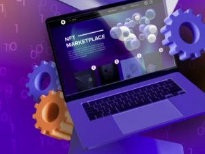Software NFT Marketplace Script website