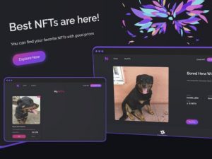 Full stack NFT Marketplace application Software for developers