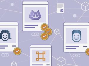 NFT marketplace website Script SoftWare