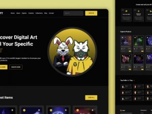 Download script is a fully responsive nft marketplace website