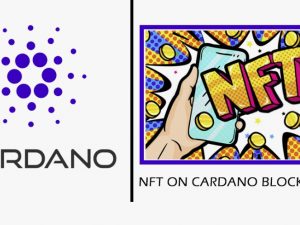 Software NFT Marketplace on the Cardano Blockchain