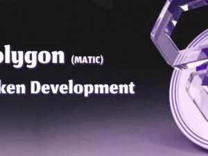 Polygon Token Development – A Guide To Create Token On Polygon Blockchain