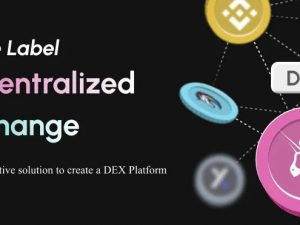 Script Decentralized Exchange Software