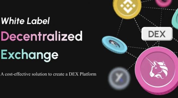 Script Decentralized Exchange Software