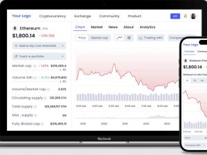 Ethereum Token Development Services