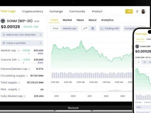 BEP20 Token Development Company