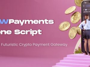 NOWPayments Clone Script – A Futuristic Crypto Payment Gateway Solution