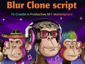 Blur Clone Script – Create Your NFT Aggregator like Blur