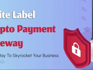 Script Crypto Payment Gateway
