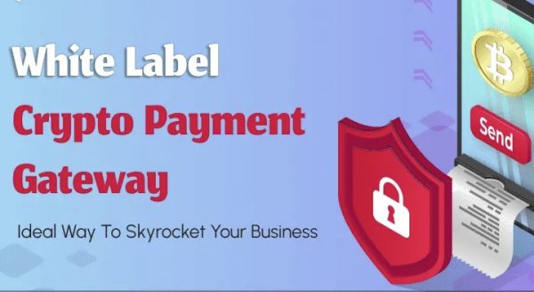 Script Crypto Payment Gateway