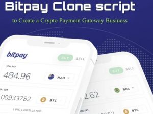 Bitpay Clone Script to Build a Secure Crypto Payment Gateway