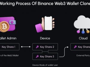 Binance Web3 Wallet Clone Script