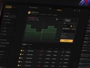 Download Software Online Casino Platform