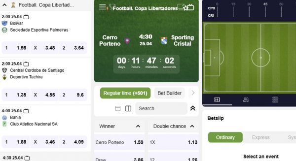 Script Online casino bookmaker RGaming Software