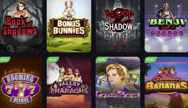 Slot machines for casinos Software Download